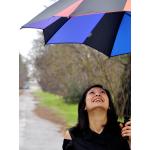 Aviary Stock Photo 3.png